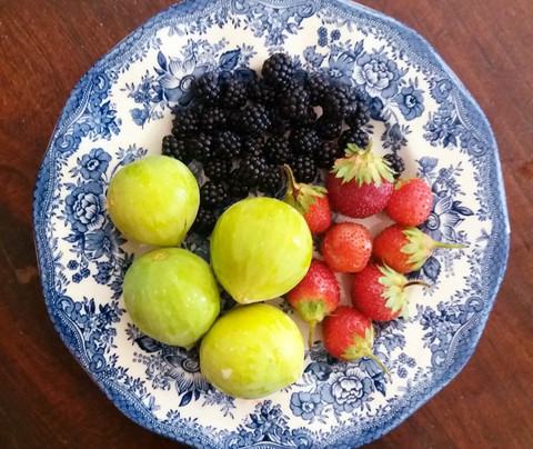 L'Abba Maistra主图