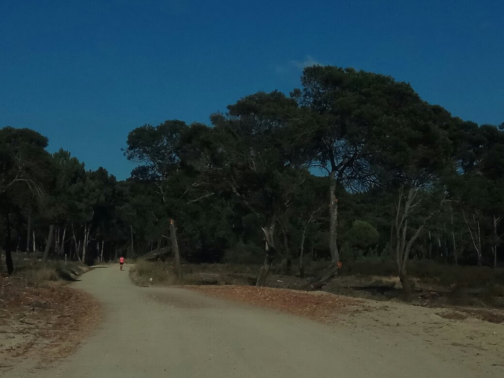 Praia da Aberta Nova景点图片