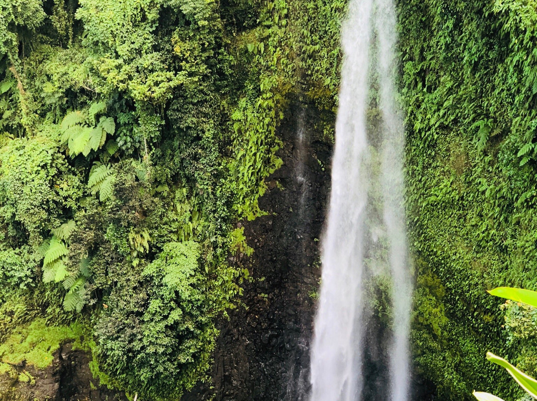 Fuipisia Waterfall景点图片