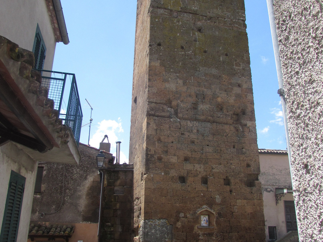 Torre Monaldeschi景点图片