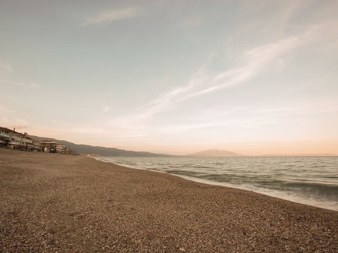 Rhapsody House主图