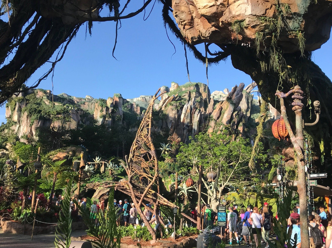 Avatar Flight of Passage-Lake Buena Vista必去景点