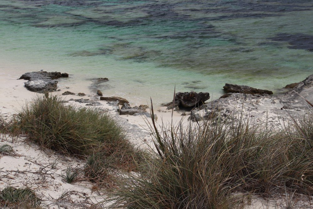 Lady Edeline Beach-罗特尼斯岛必去景点