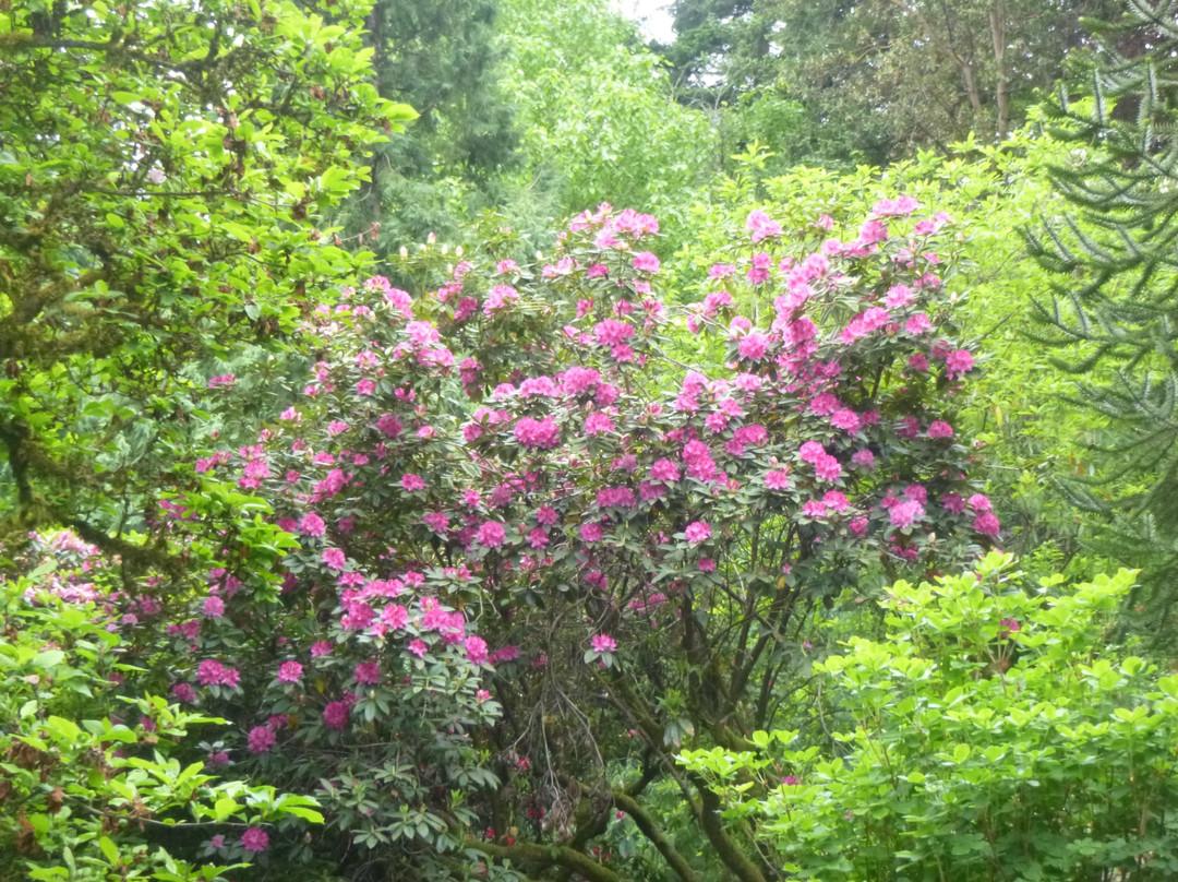 Elk Rock Garden-波特兰必去景点