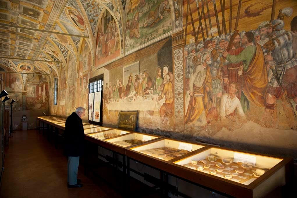 Museo Civico Archeologico景点图片