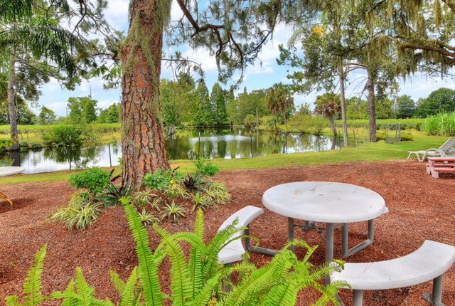 Shady Oak Farm-莱克兰必去景点