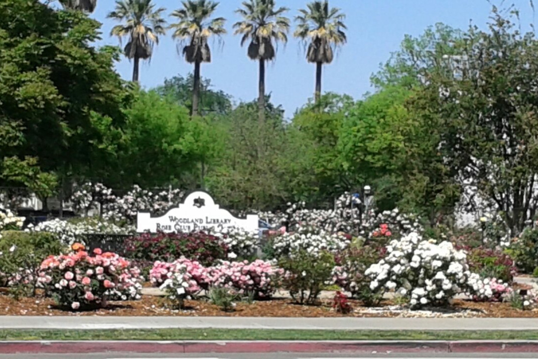 Woodland Public Library and Rose Garden景点图片