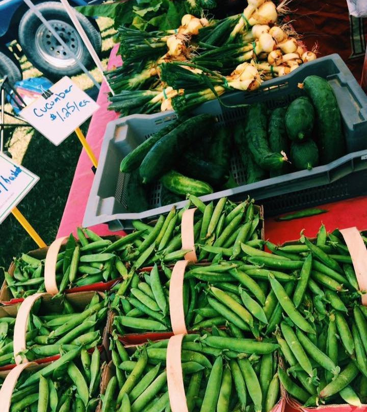 Port Rowan Farmers' Market-Port Rowan必去景点