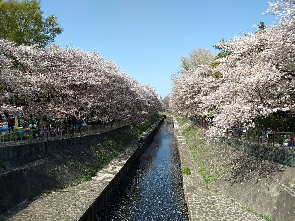 Wadabori Park-杉并区必去景点