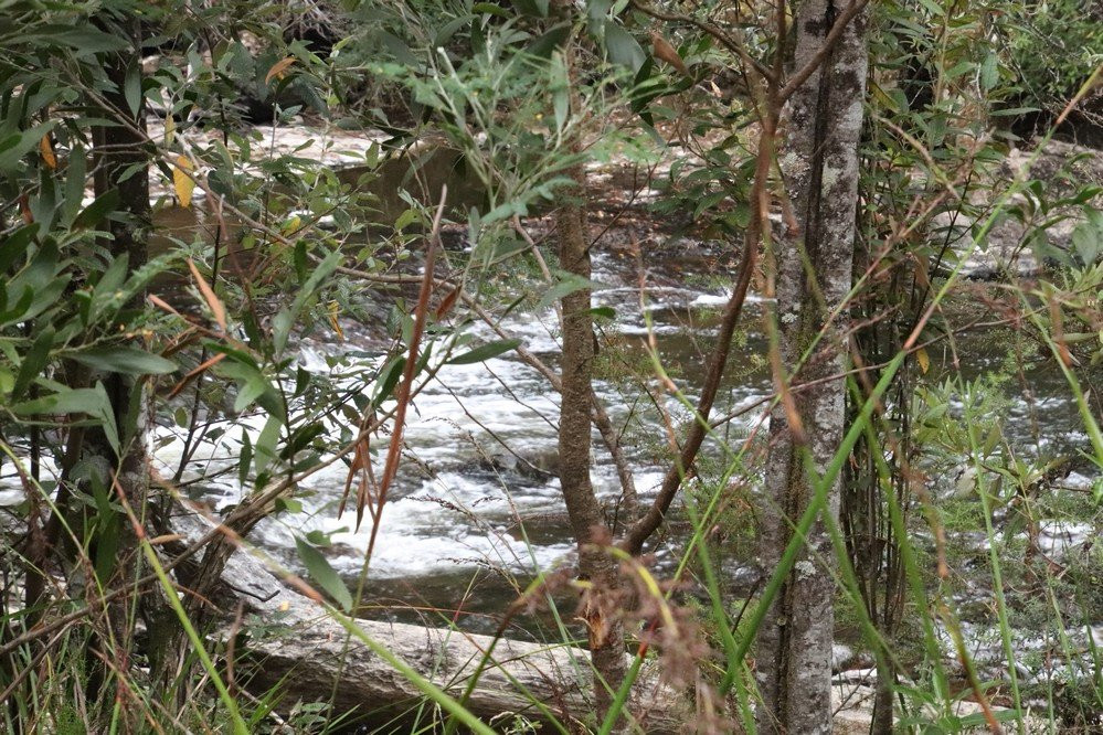 Fentonbury旅游攻略图片