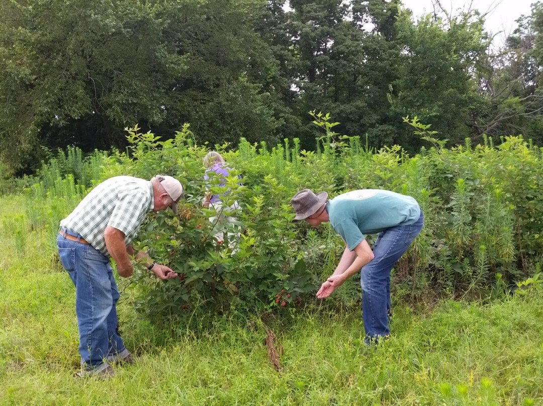 Cox Berry Farm & Nursery-Clarksville必去景点