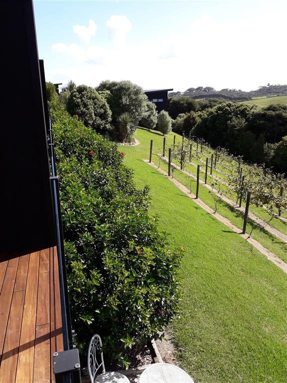 Cable Bay Views主图