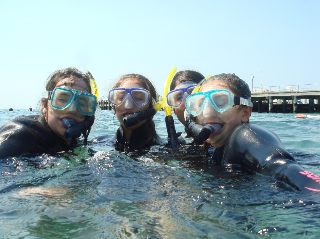 Bayplay-Snorkel with Seadragons Tour景点图片