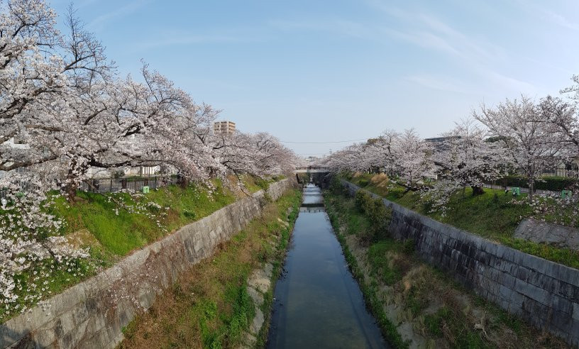 山崎川四季之道景点图片