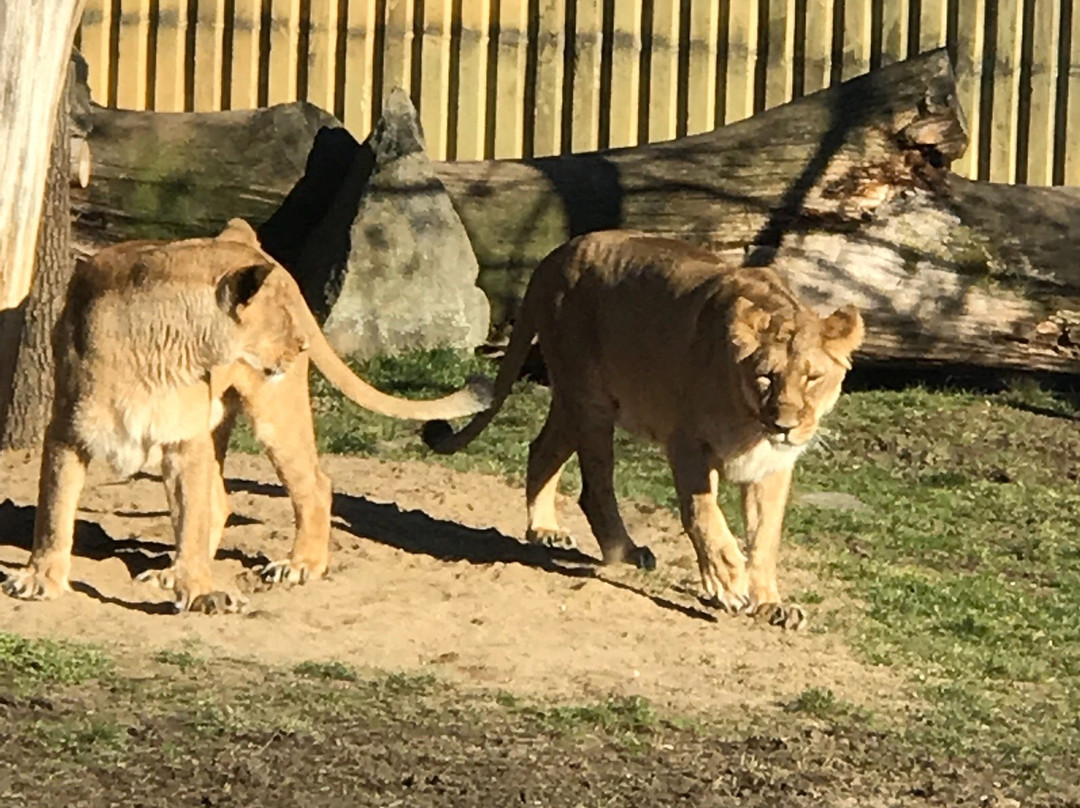 Kontaktní Zoopark景点图片