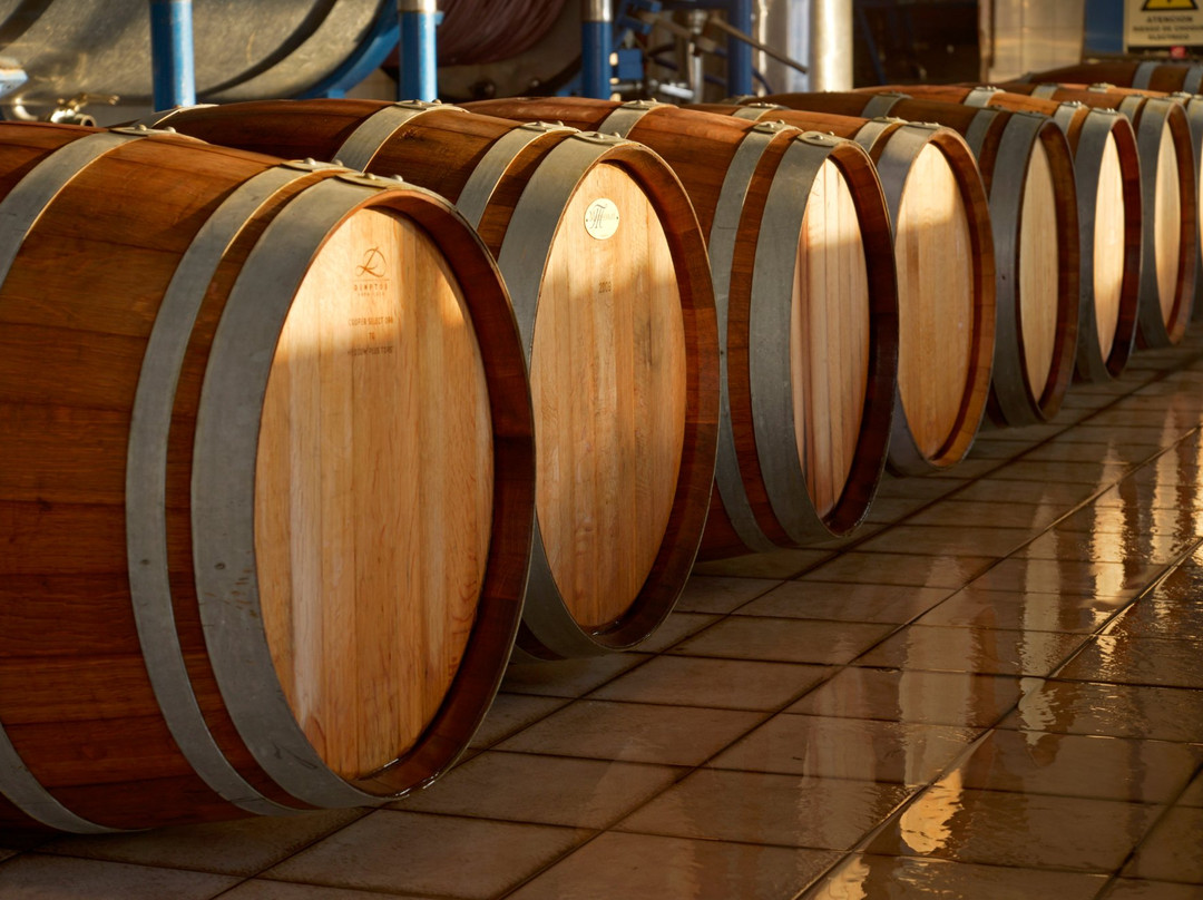 Bodega y Viñedos Garbin-圣拉斐尔必去景点