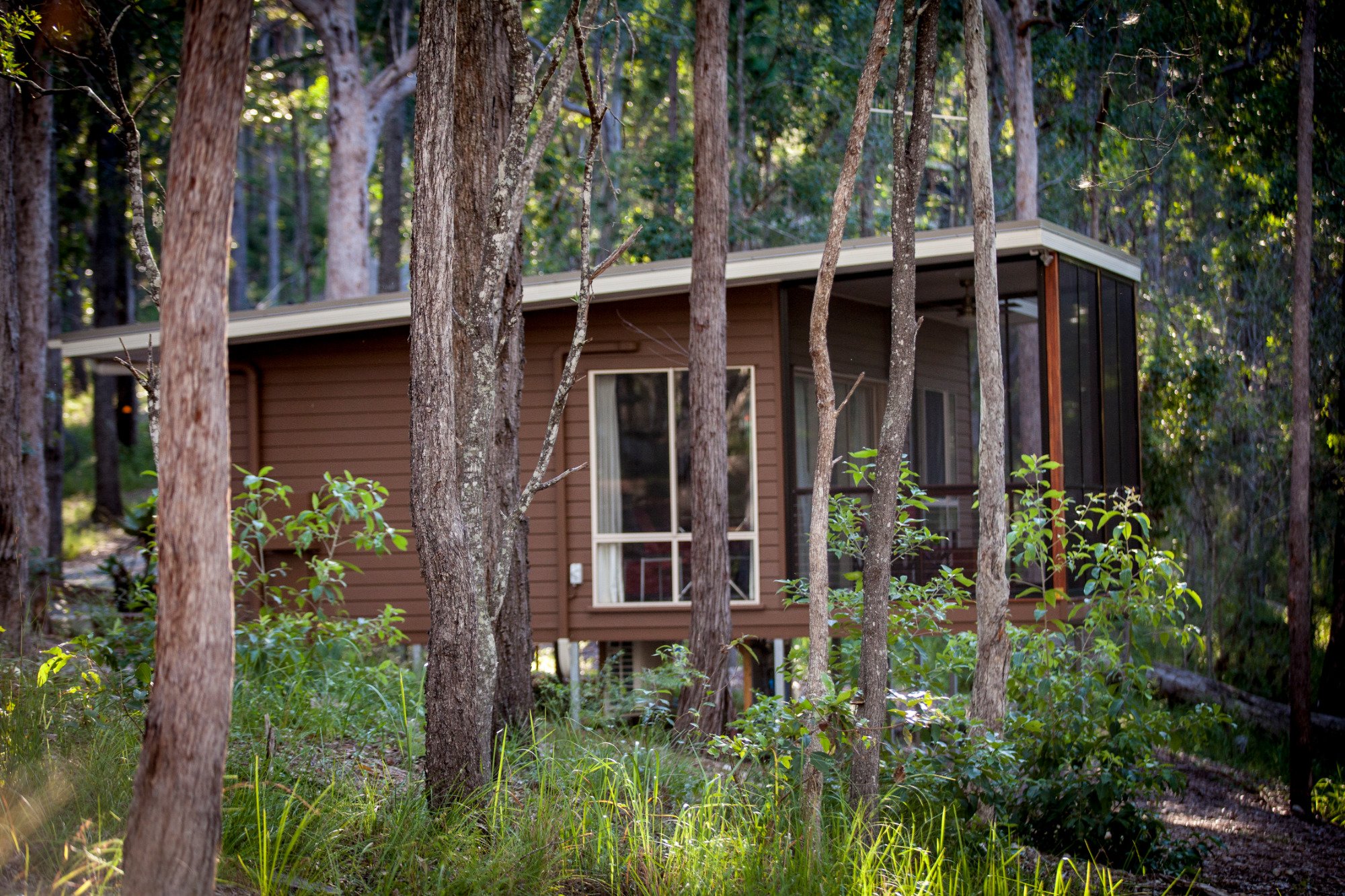 Mt. Cotton Retreat-官方