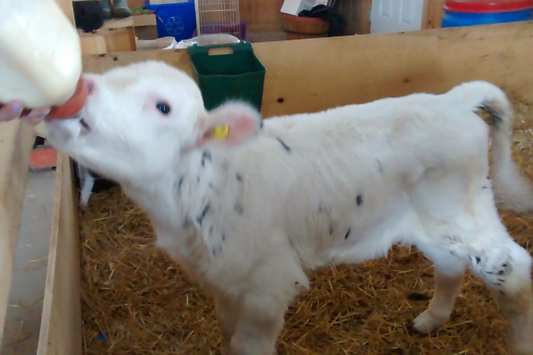 Round The Bend Farm-Kettleby必去景点