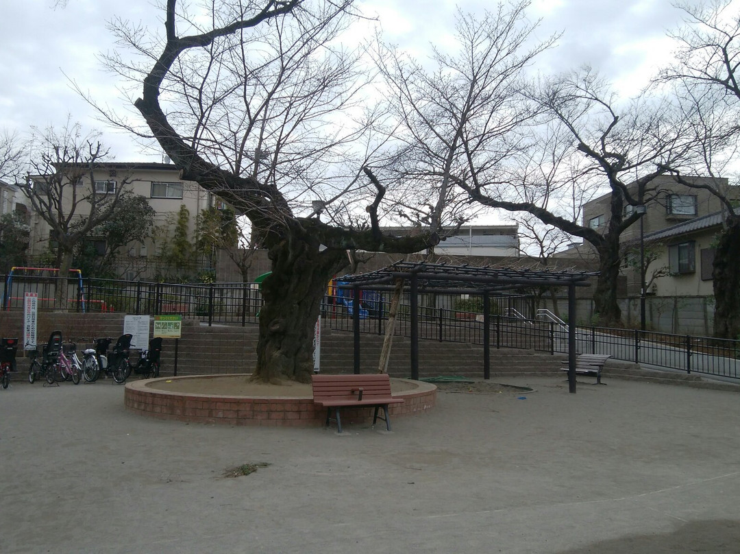 Jiyugaoka Park-Jiyugaoka必去景点