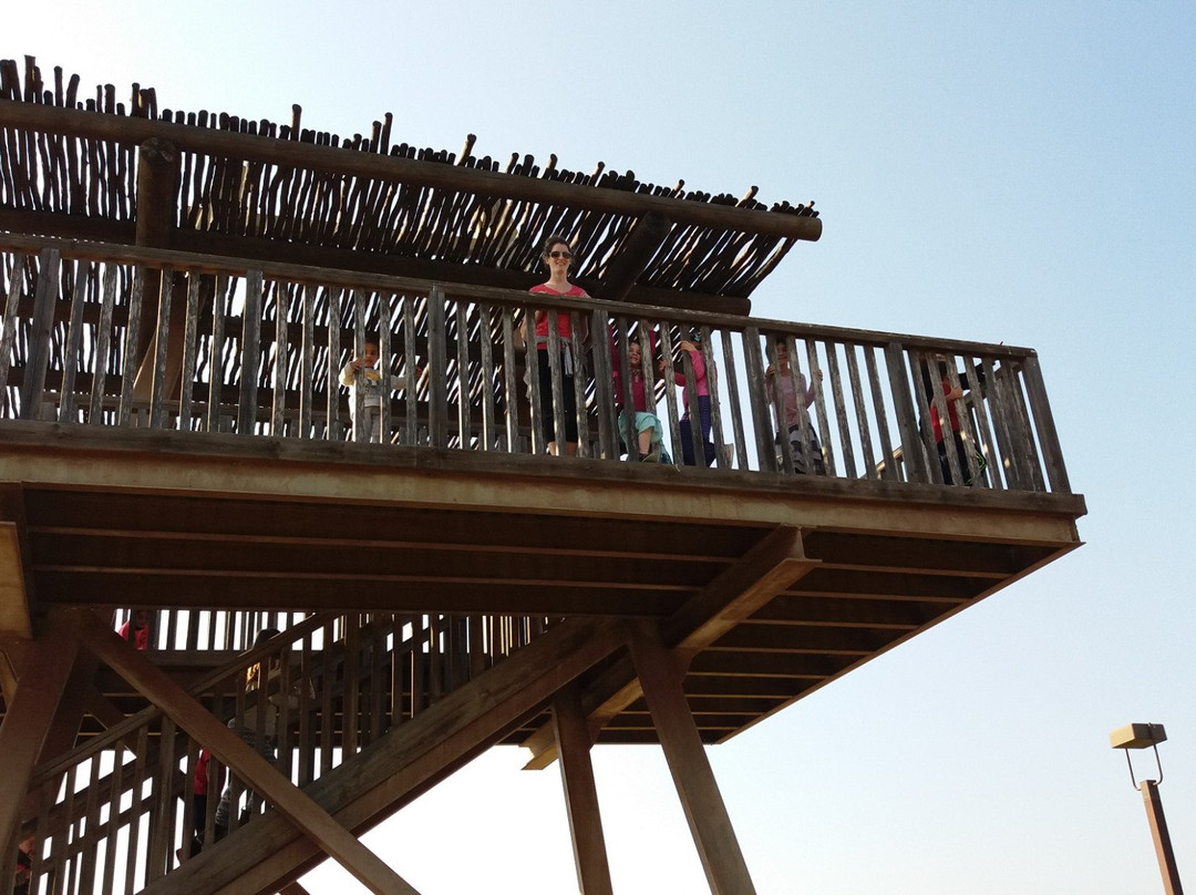 Kfar Vitkin旅游景点-Turtle Bridge