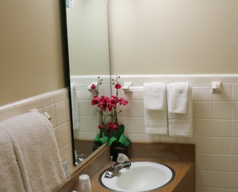 Atlas Motor Lodge主图