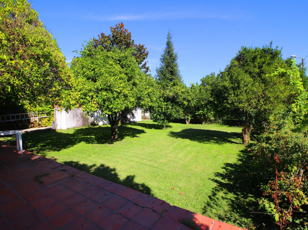 Casa da Figueira Grande主图