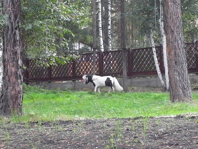 巴伊卡尔21酒店主图