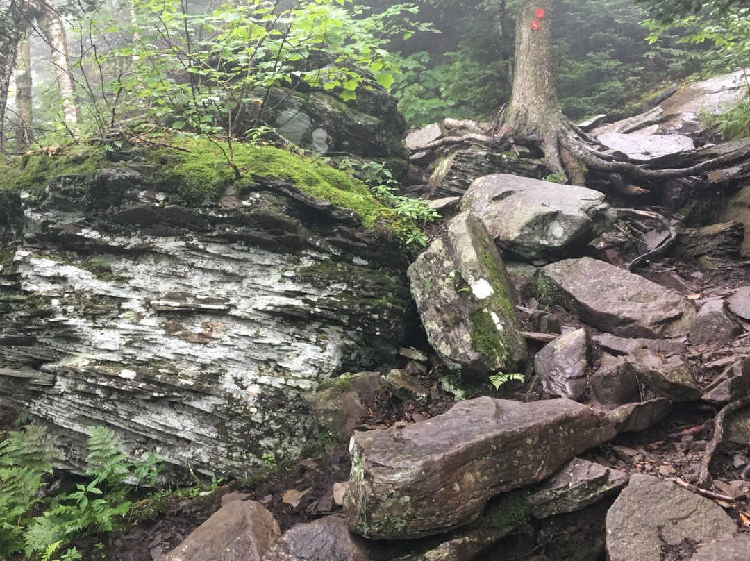Indian Head Mountain-Elka Park必去景点