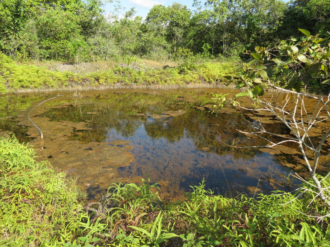 Finca Ecoturistica Yerbabuena