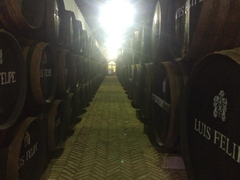 Bodegas Rubio景点图片