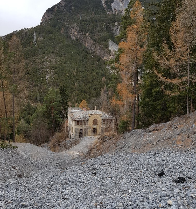 Fonte Pliniana