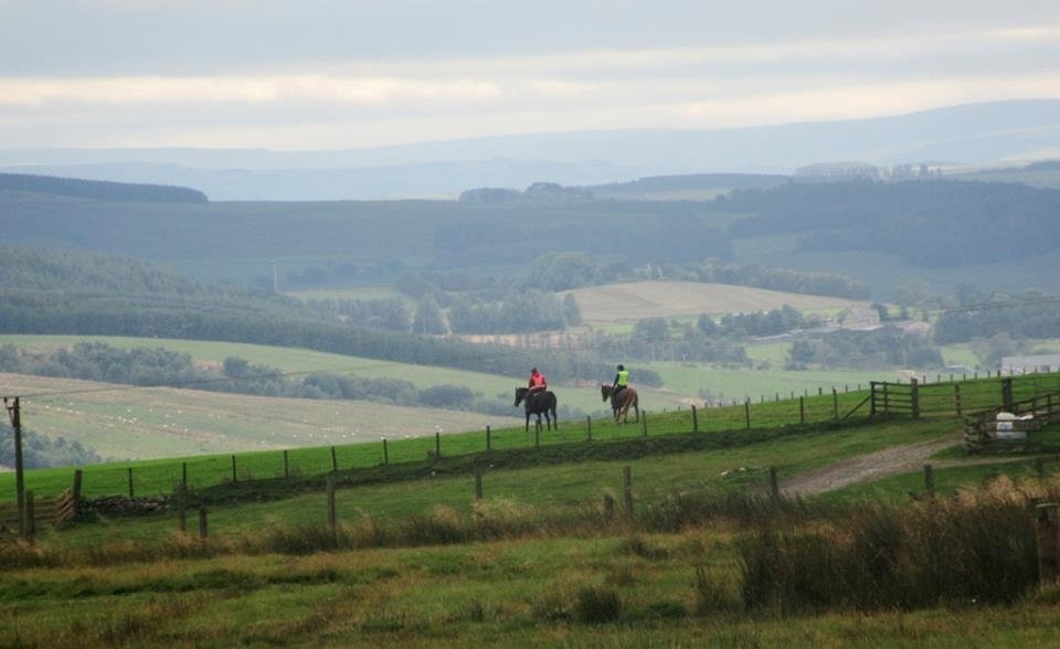 Redesdale Equestrian景点图片