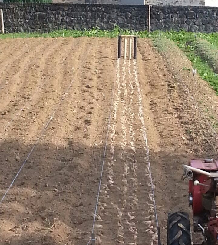 Safran de Murols Ferme de Murols-Murols必去景点