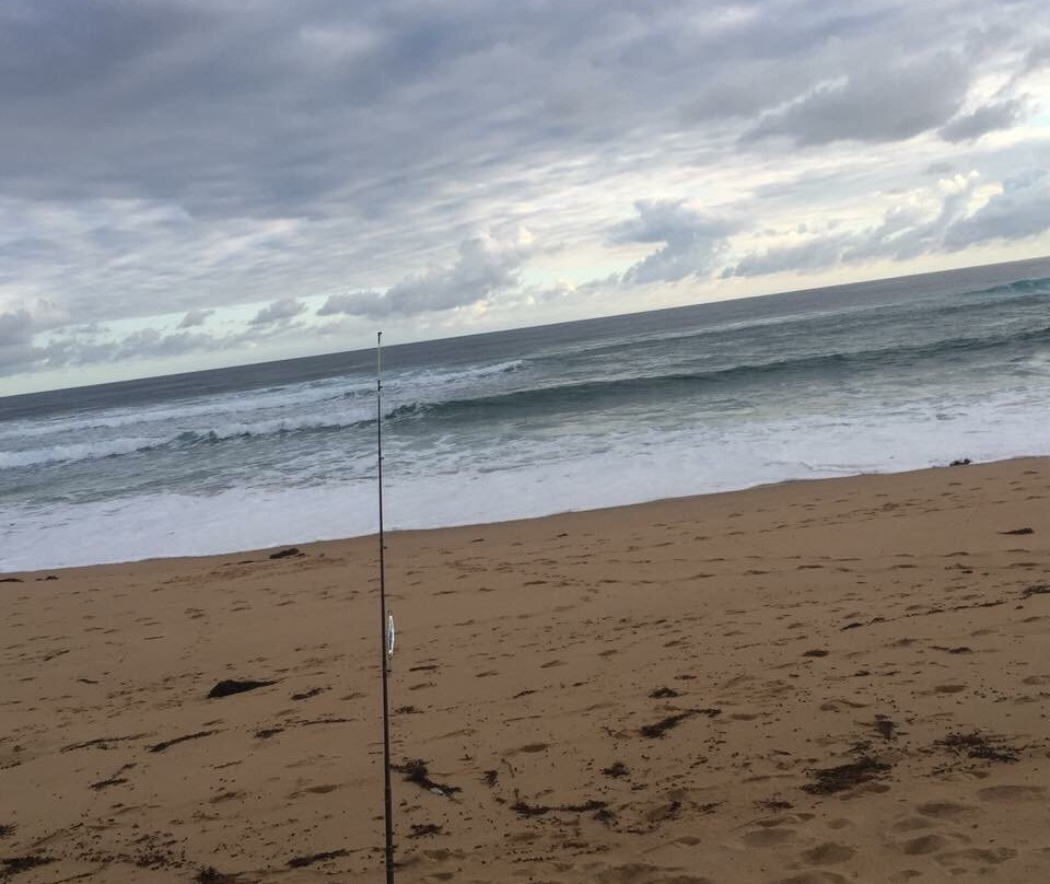 Williamsons Beach景点图片