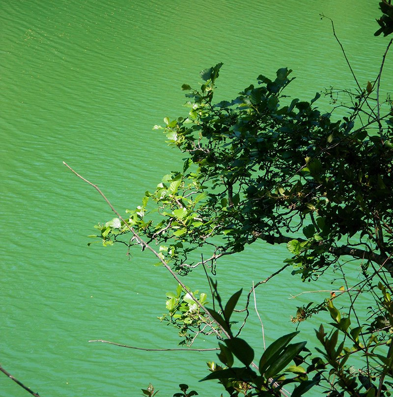 Transpatagonia Tour Service-Frutillar必去景点