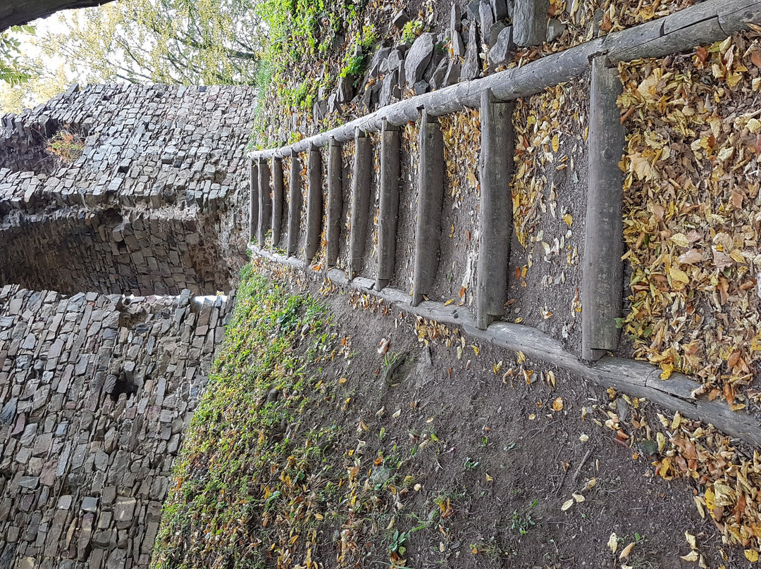 Vikštejn u Radkova Ruin-Opava必去景点