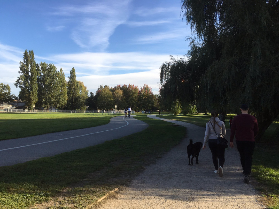 John Hendry (Trout Lake) Park-温哥华必去景点