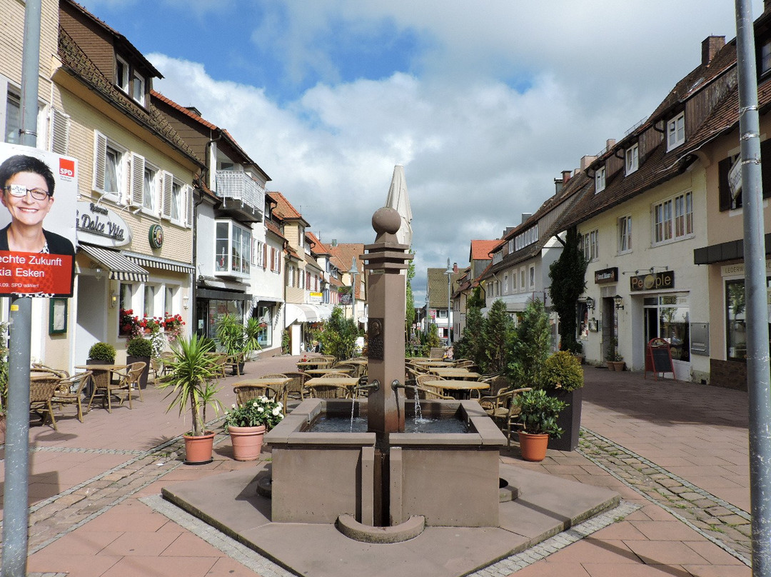 Fußgängerzone Reichsgasse-Freudenstadt必去景点