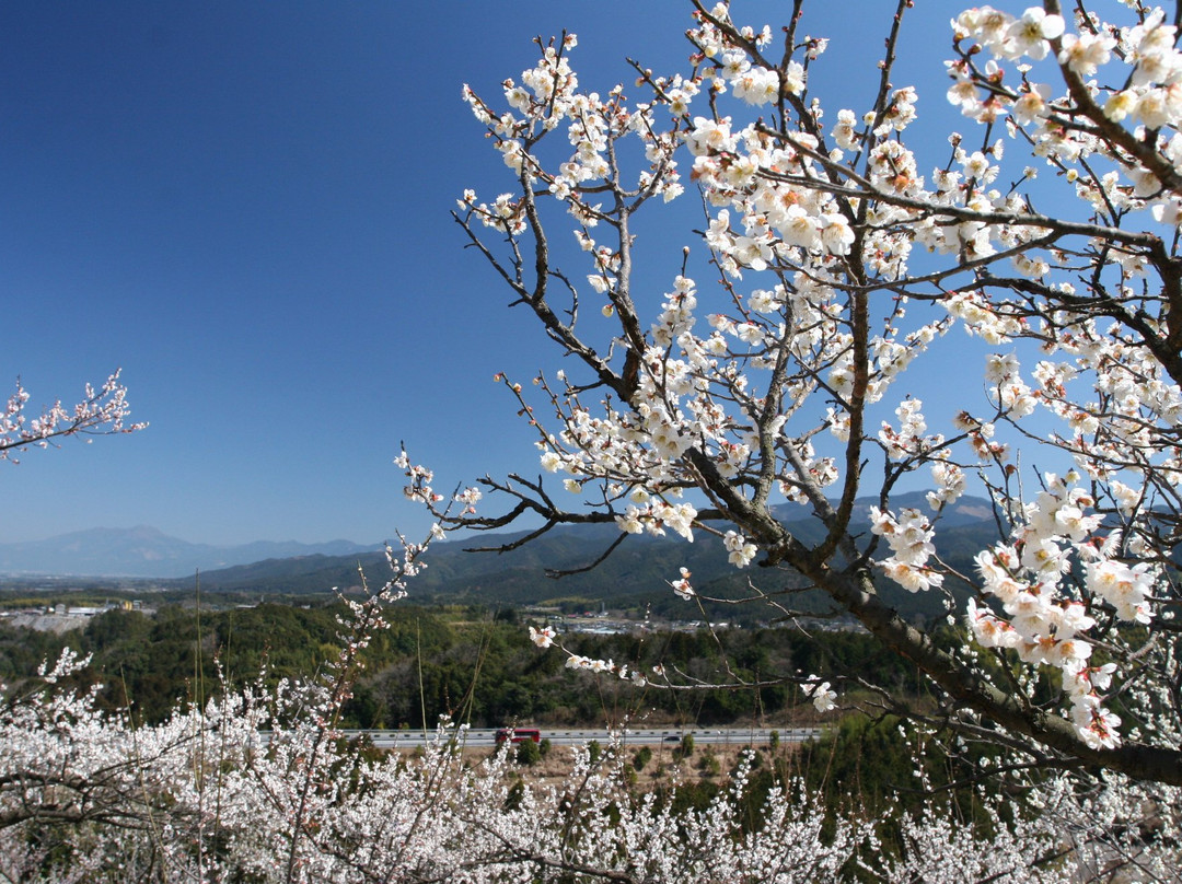 Michi-no-Eki Nishiki景点图片