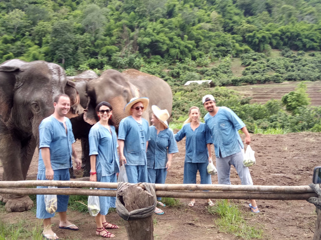 Baan Tung Lakorn Elephant Camp-夜登必去景点