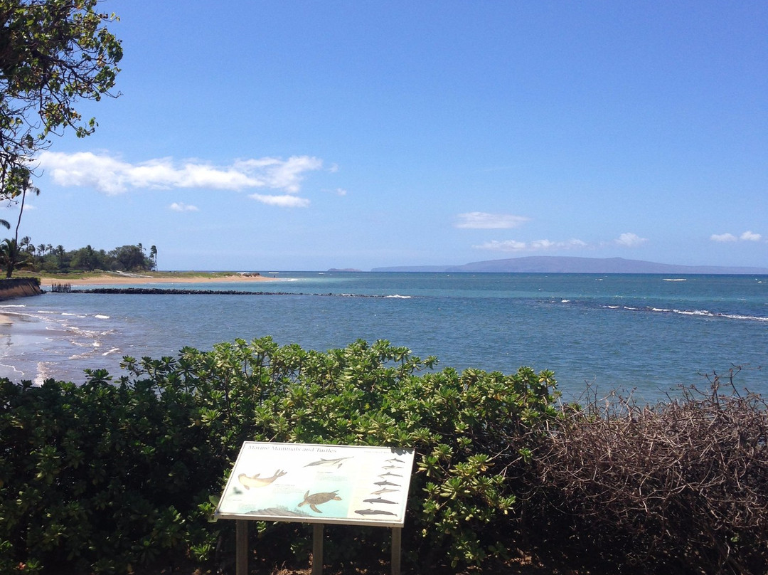 夏威夷座头鲸国家海洋保护-基黑必去景点