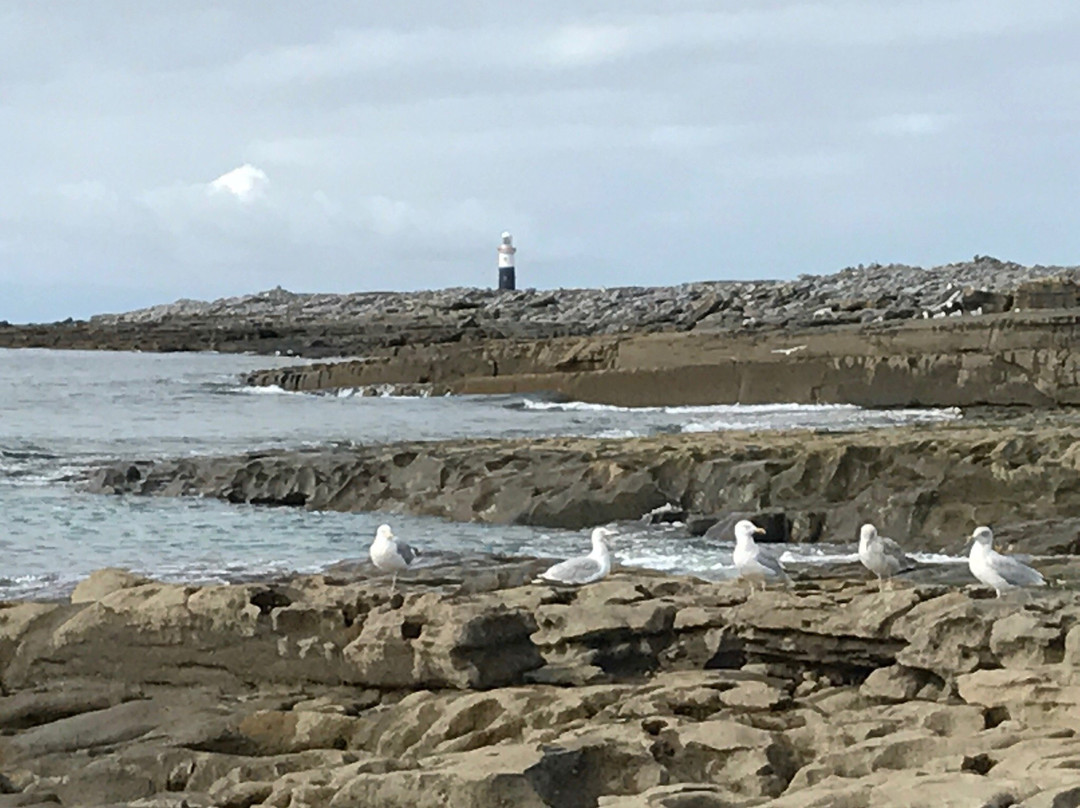 Inishere Lighthouse景点图片
