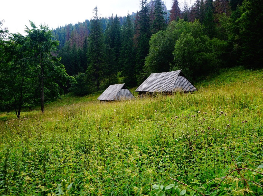 Strazyska Valley景点图片