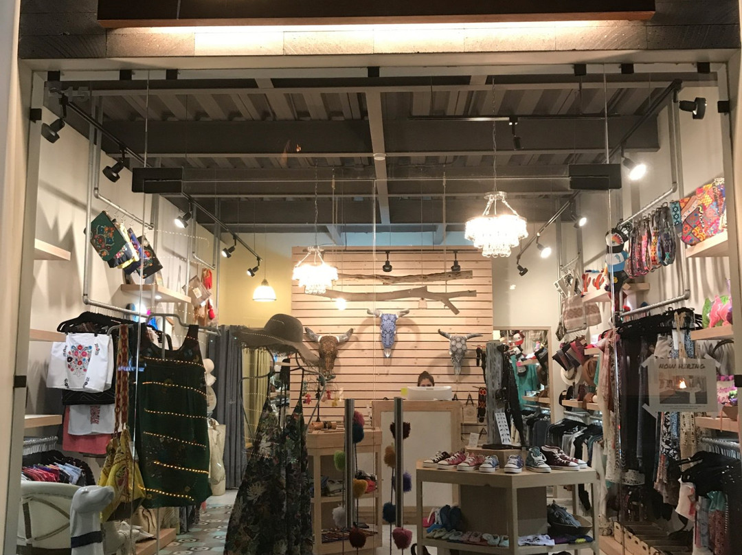 Eclectic Array San Jose-圣何塞卡波必去景点