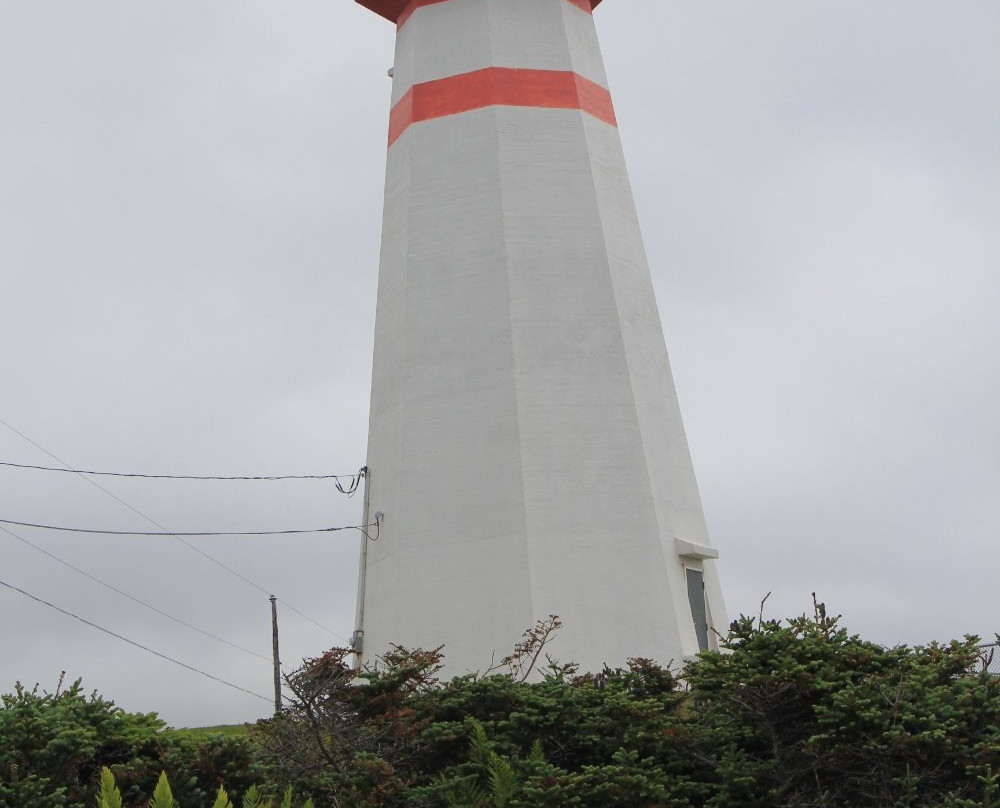 Cape Ray Lighthouse景点图片