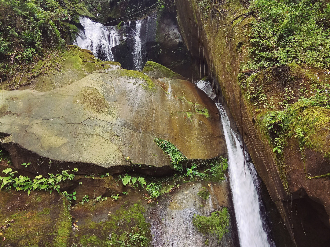 Taman Eden 100-Parapat必去景点
