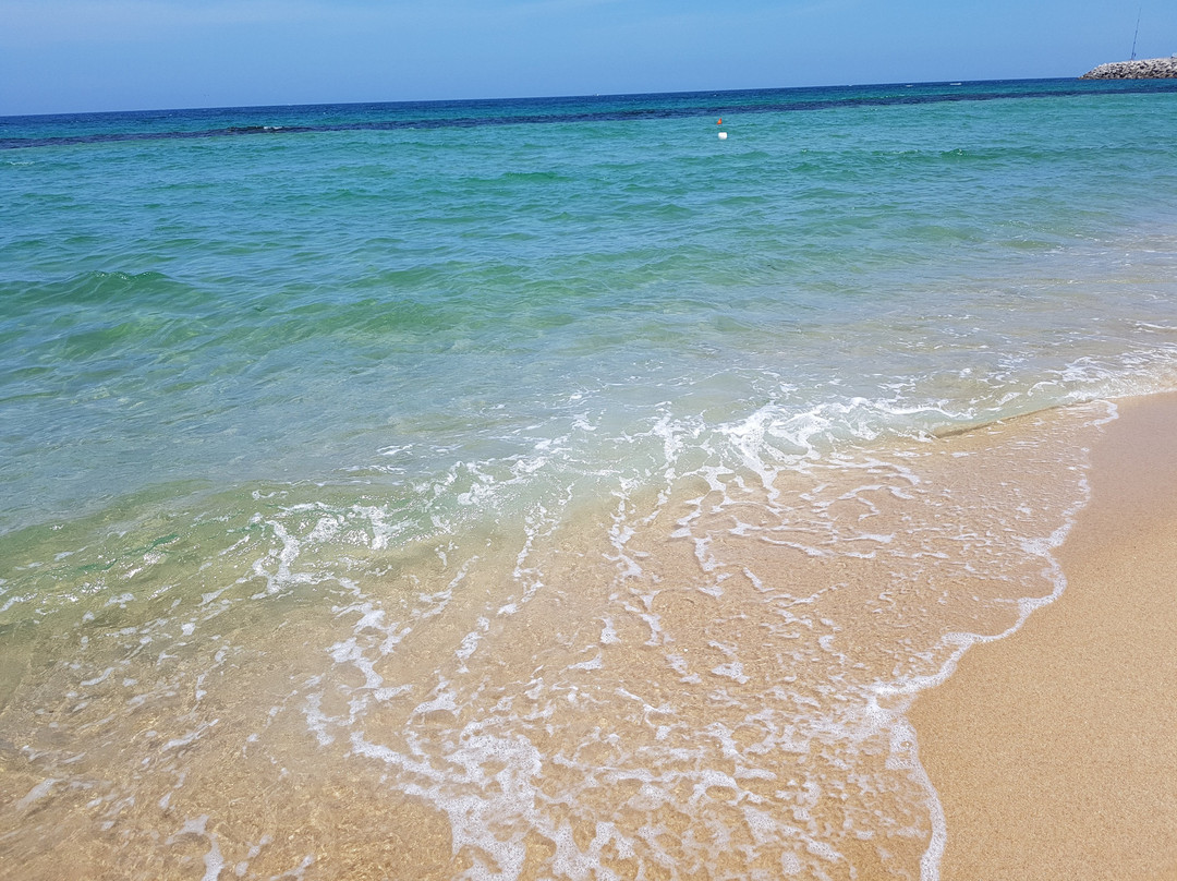 Anmok Beach-江陵市必去景点