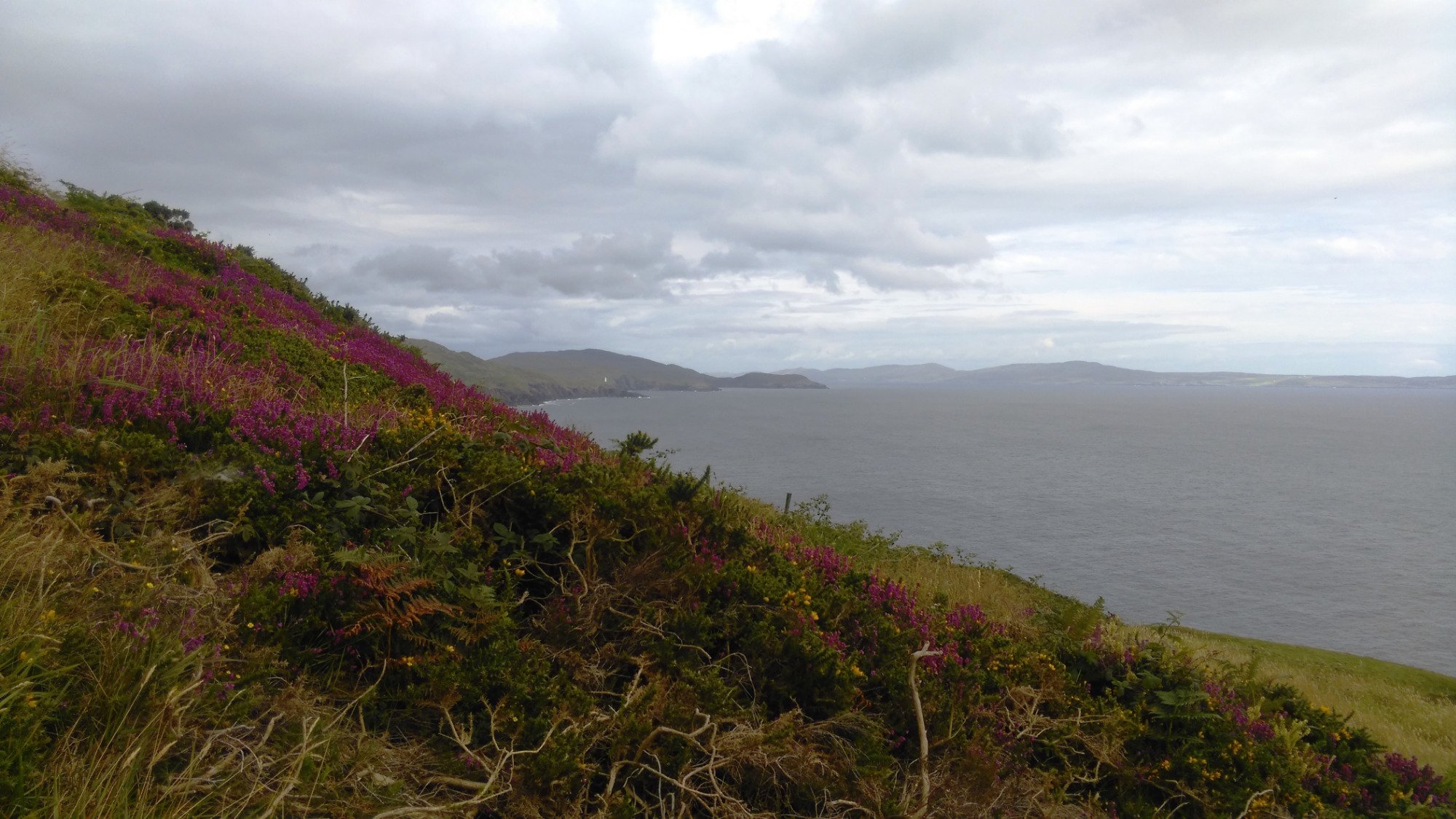 The House of the Boatmaker-泳池