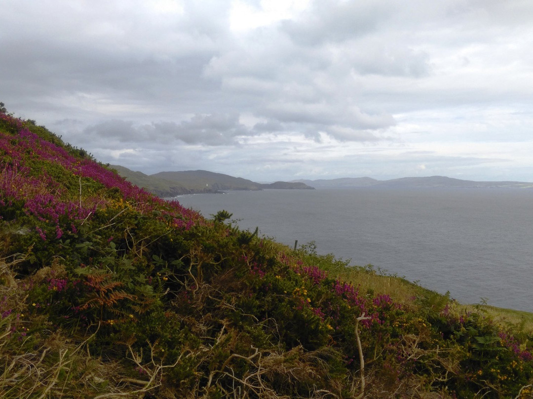 The House of the Boatmaker主图