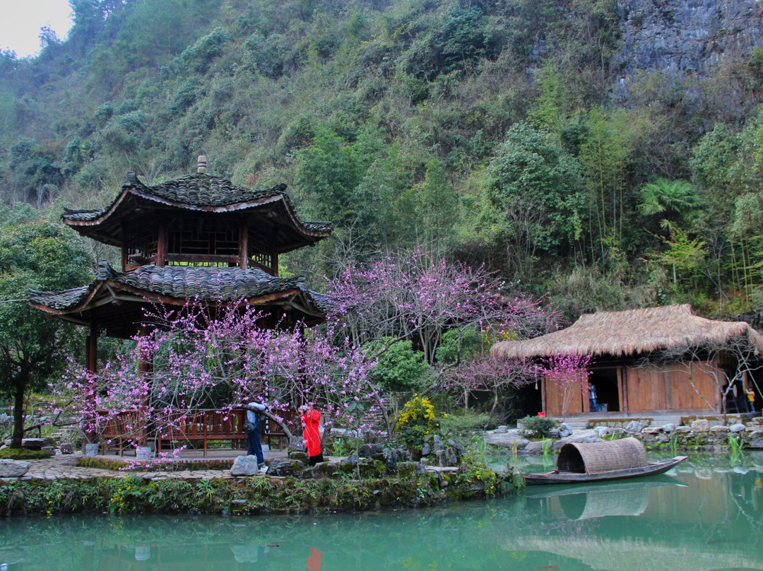 酉阳县桃花源景点图片